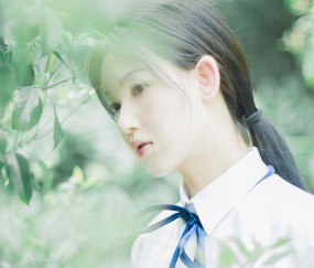 卵泡的英文（卵泡期的英文）