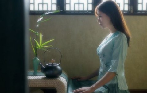 2.21.6卵泡（20×12卵泡）