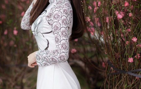 合肥高薪捐卵联系方式，2024捐卵生男孩价格表！